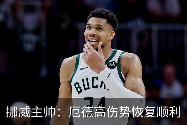 挪威主帅：厄德高伤势恢复顺利