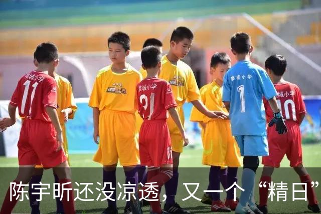 陈宇昕还没凉透，又一个“精日”人员被揪出来，竟然还是企业老板